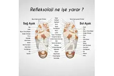 Refleksoloji Boy Uzatma